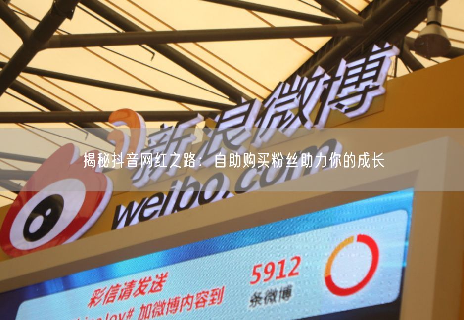 揭秘抖音网红之路：自助购买粉丝助力你的成长